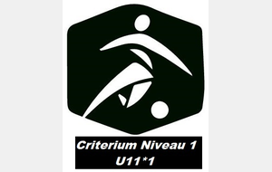 U11*1 - OUEST TOURANGEAU FC