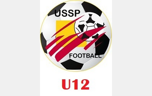 U12 - PARCAY MESLAY AFC