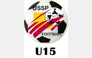 U15 - MONTLOUIS FC